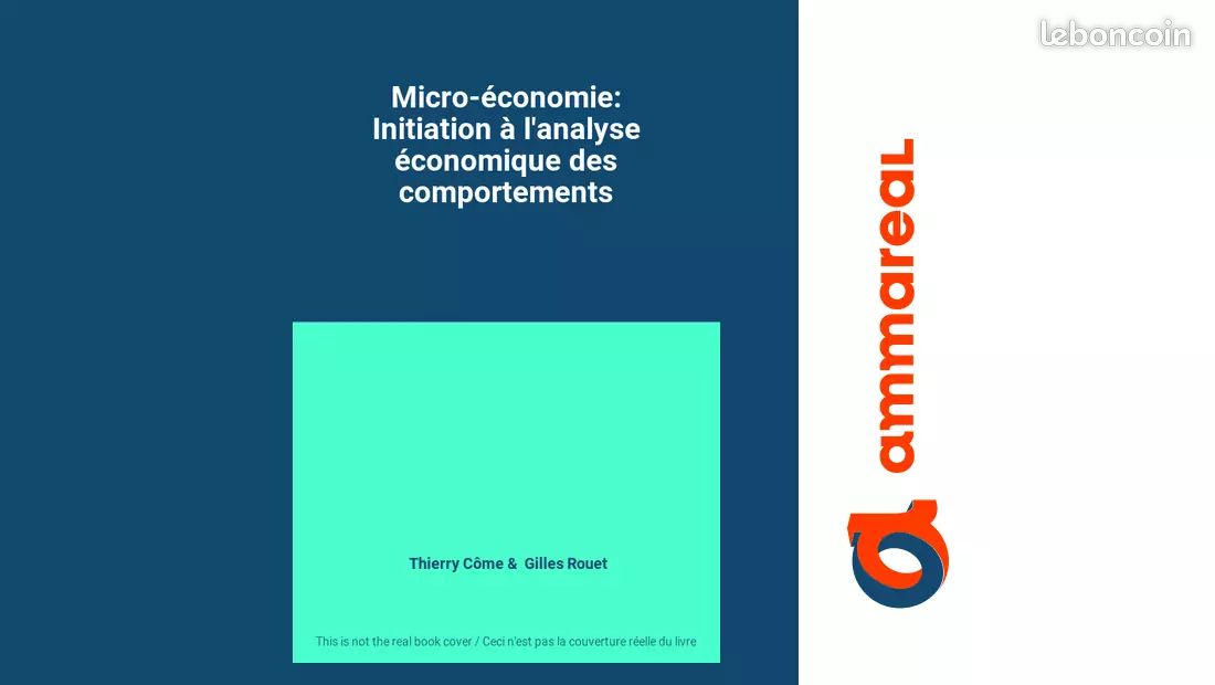 Micro-économie: Initiation à l'analyse économique des comportements - Thierry Côme et Gille... (image 1)