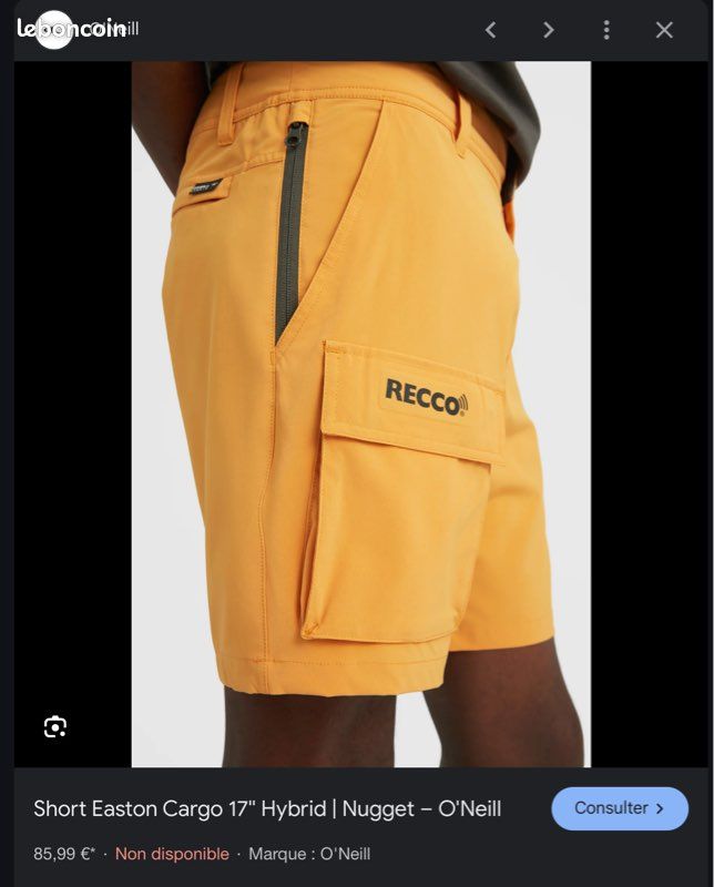 Neuf) O'Neill 40/42 RSHORT EASTON CARGO 17'' HYBRID Vêtements