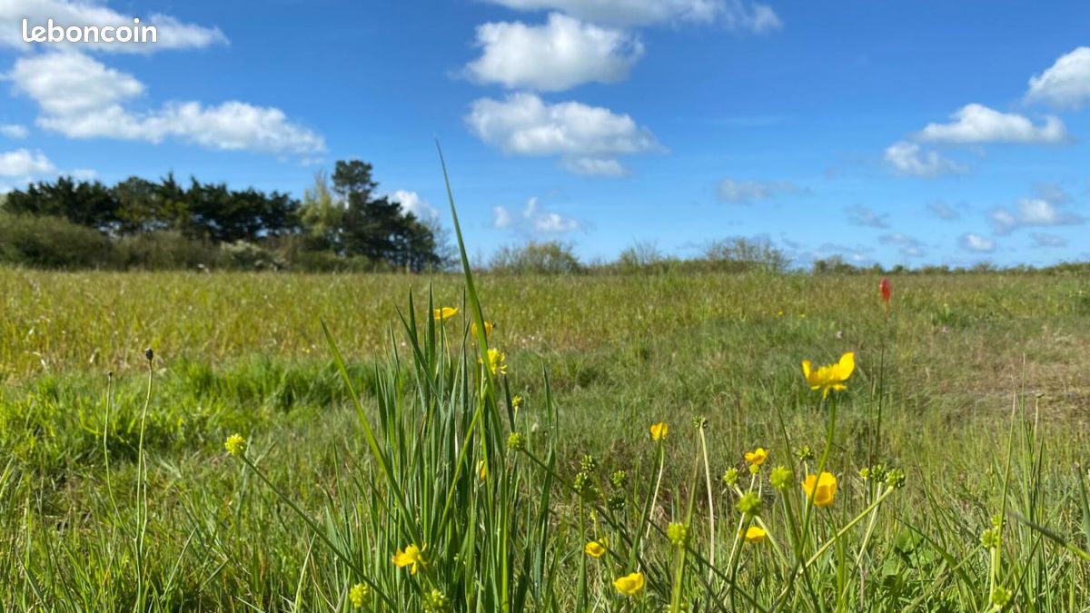 Terrain 217 m² Givrand · 53 900 €