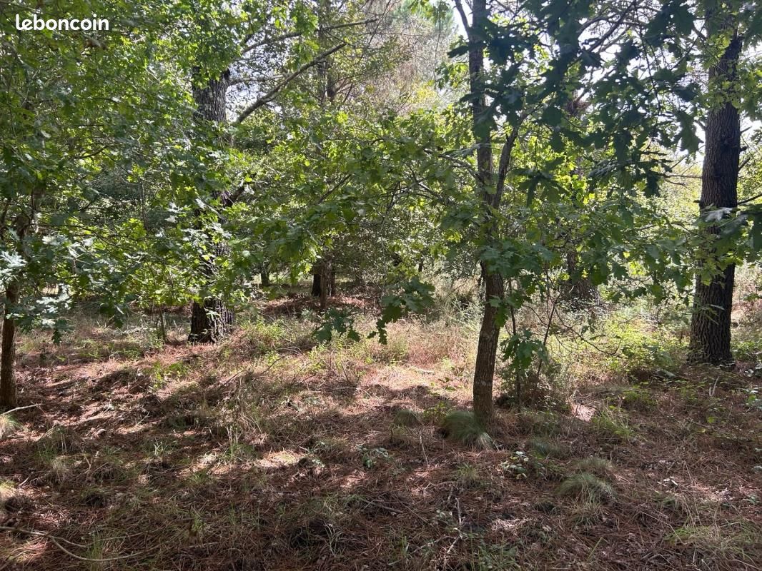 Terrain 5000 m² · à Gastes · 234 000 €