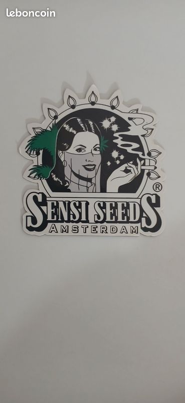 Magnet SENSI SEEDS Amsterdam (image 1)