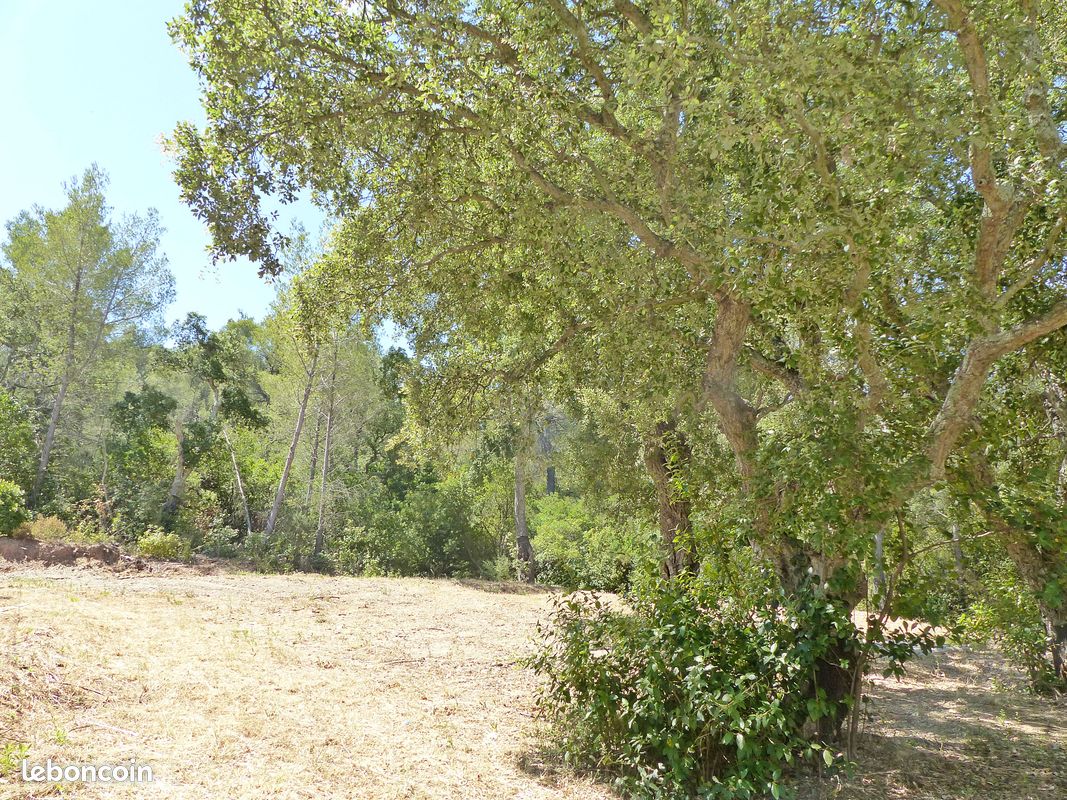 Location saisonniere - la londe-les-maures : maisons 6 couchages (image 9)