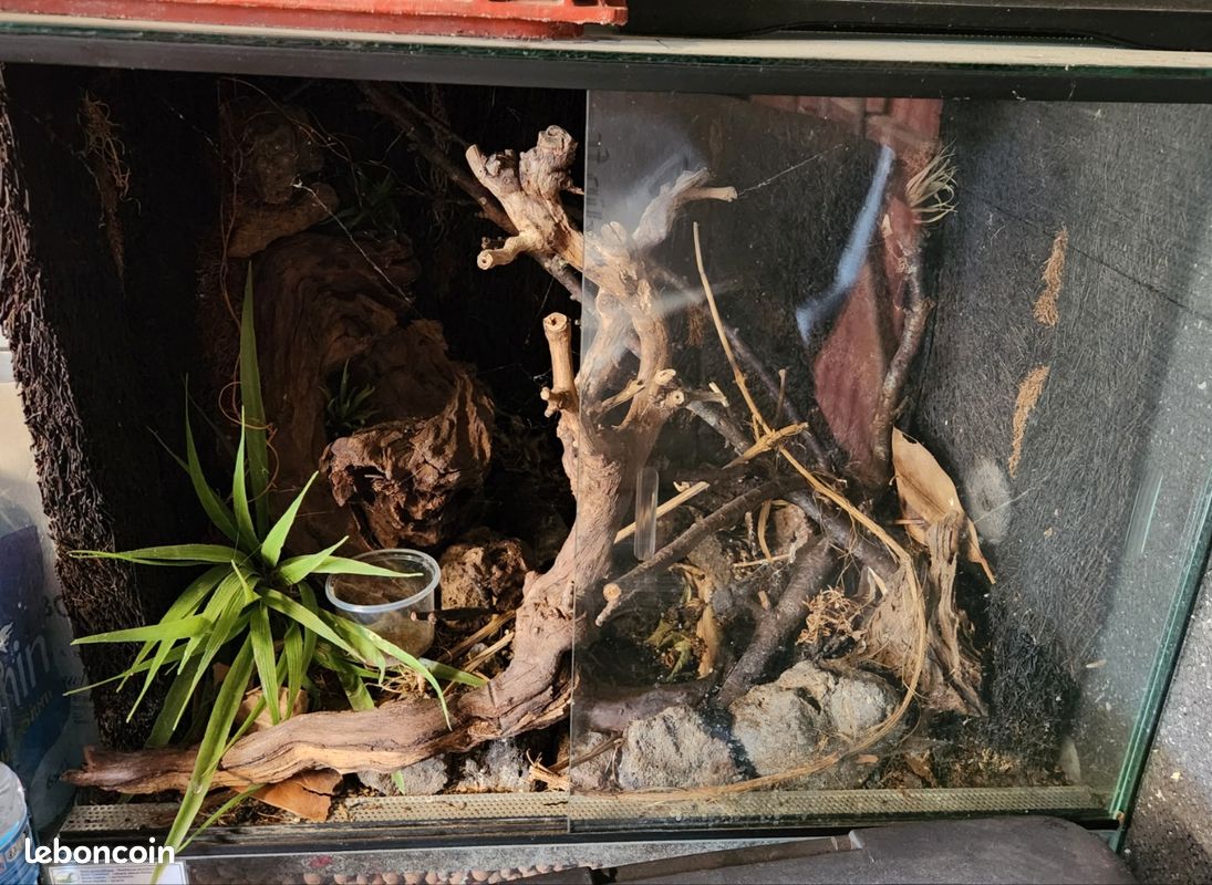 Terrarium/Vivarium (image 1)