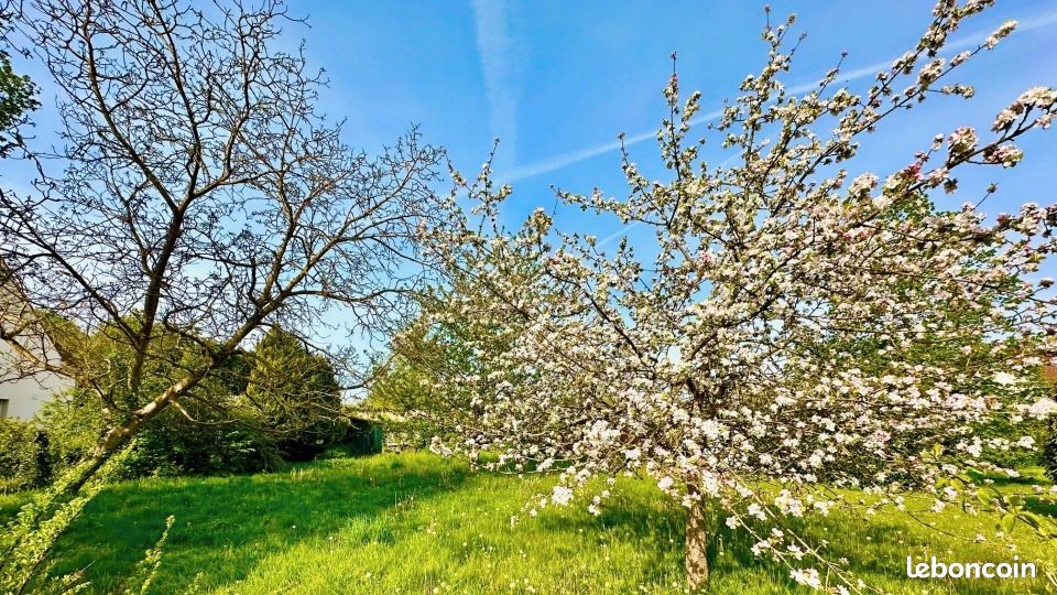 Terrain 401 m² Verberie · 55 000 €