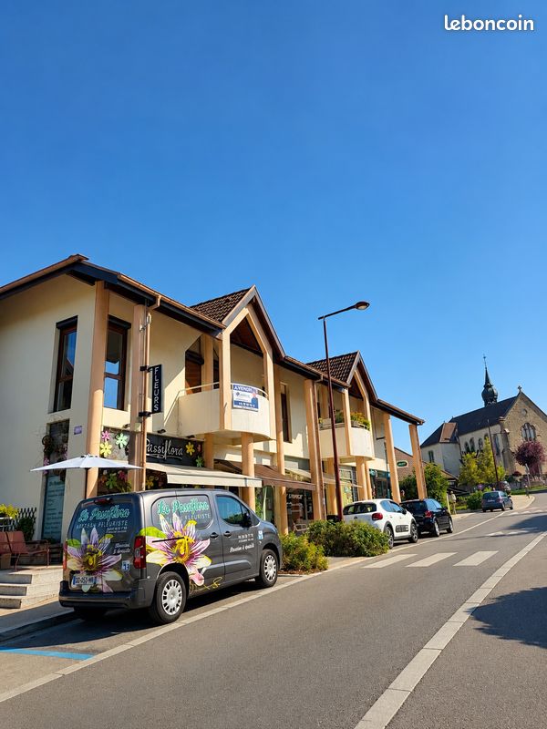 Appartement 4 pièces 113 m² · à Cranves-Sales · 113 m² · 389 000 €