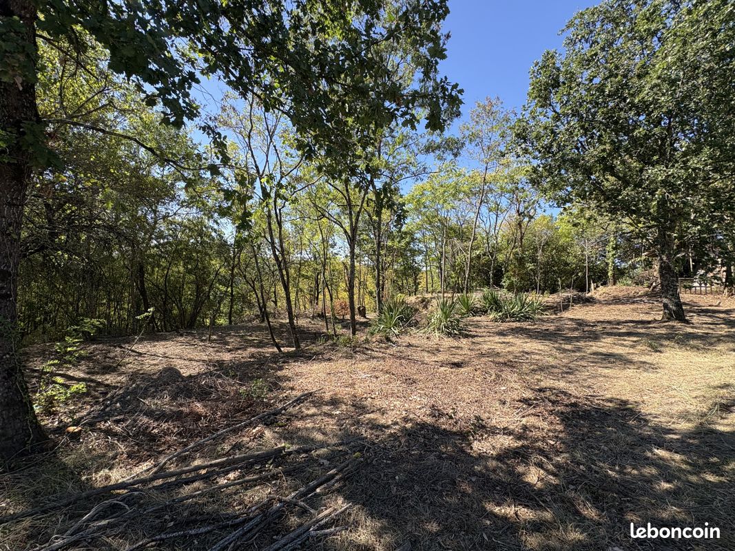 Terrain 2350 m² · à Lafrançaise · 2 350 m² · 36 900 €