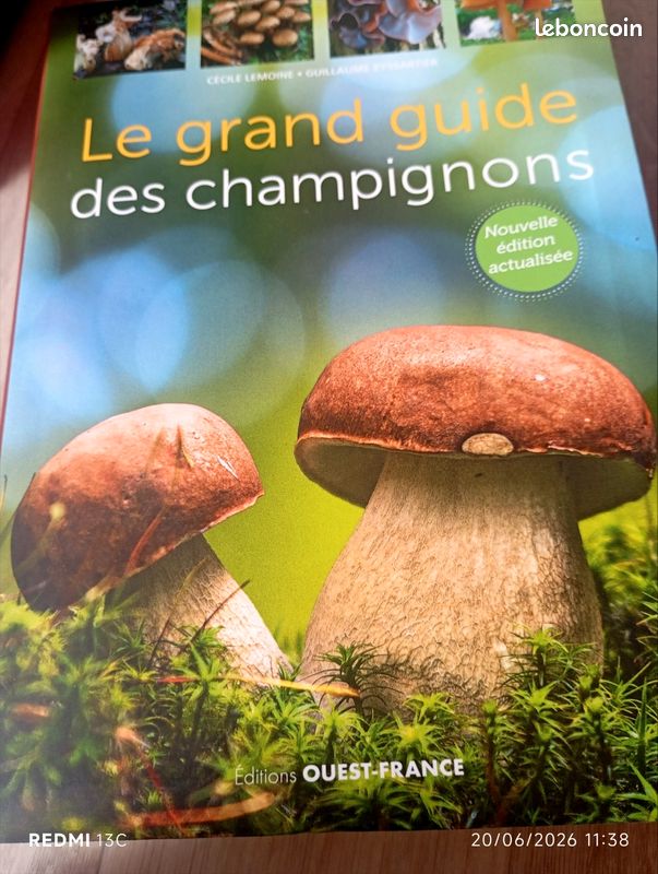 Livre illustré champignons (image 1)