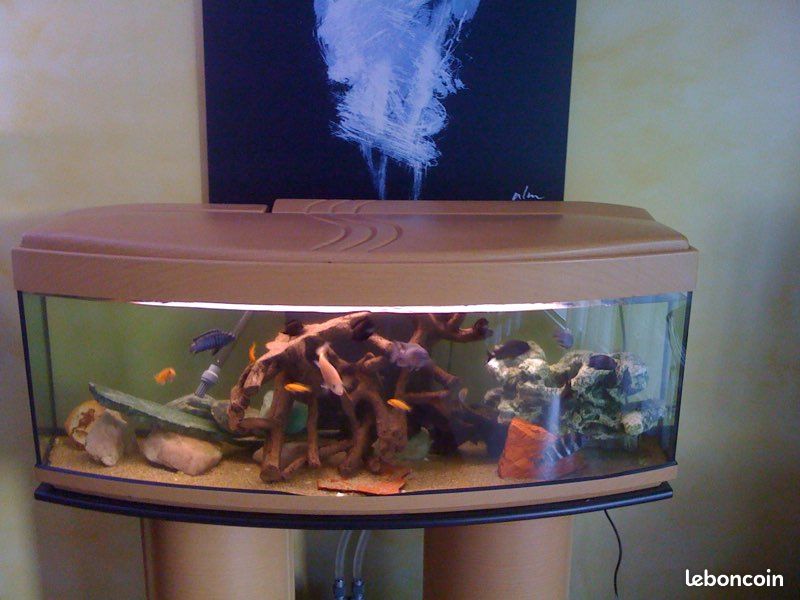 Aquarium bombé 180 l (image 1)