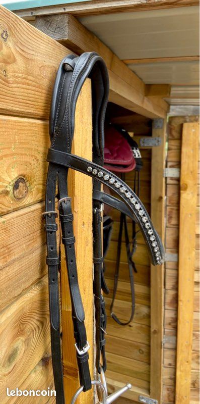 Bridon cheval (image 4)