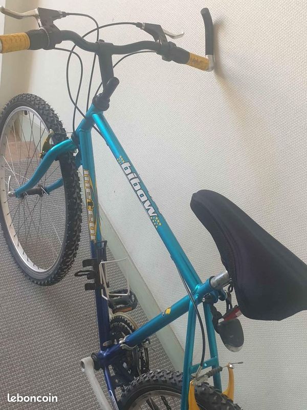 Vends vtt trail cross (image 4)