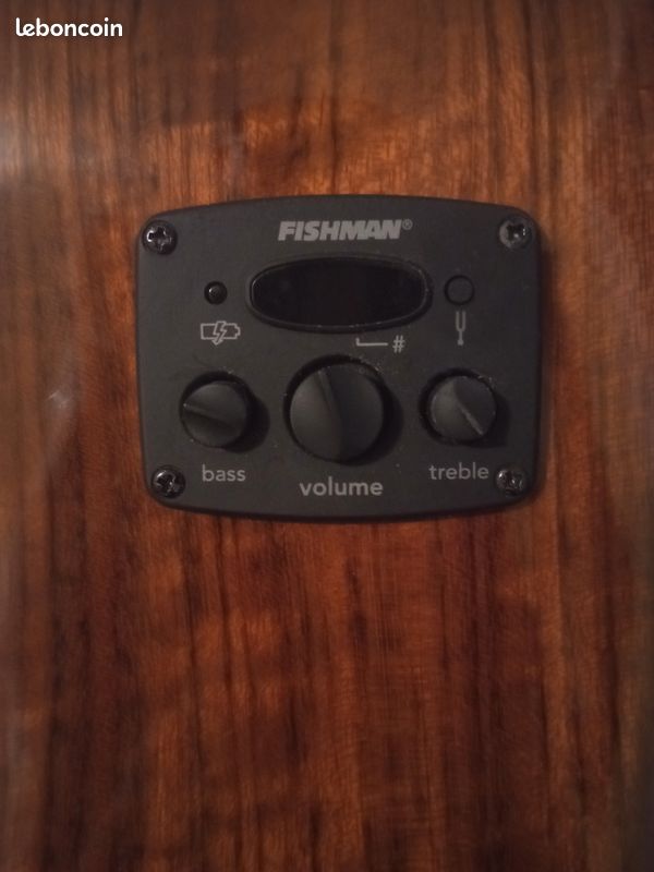 Guitare électro acoustique Fender (image 12)