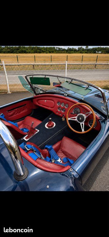 LR Roadsters RAM SC – Cobra 427 – V8 Chevrolet 5.7 – Préparation Mokricki (image 3)