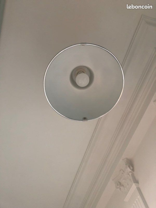 Vends deux suspensions luminaires lustres style industriel (image 3)