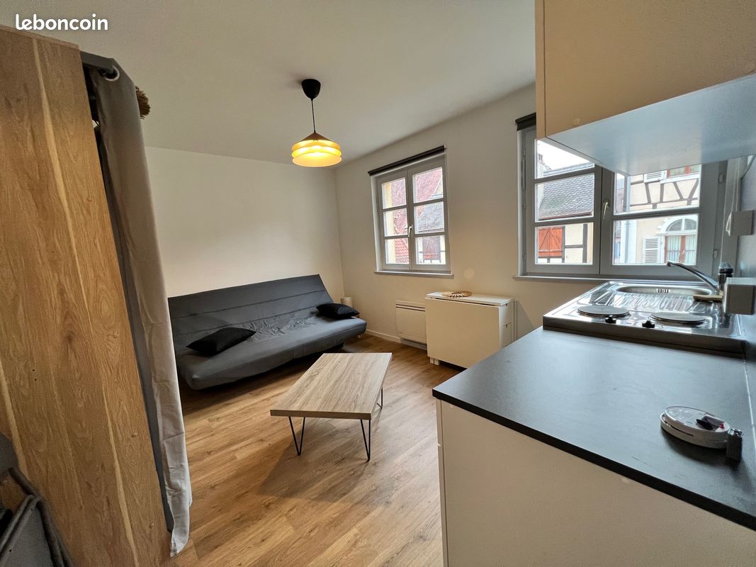 Appartement 1 pièce 17 m² · à Colmar · 17,1 m² · 540 €