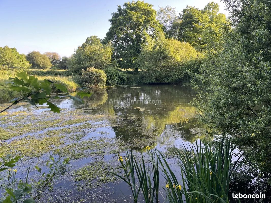 Terrain 6440 m² · à Trévé · 6 440 m² · 33 500 €