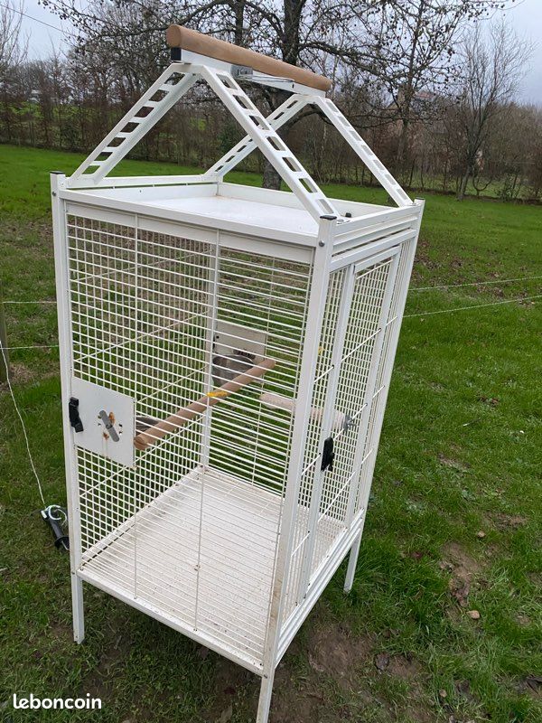 Cage à oiseaux (image 1)