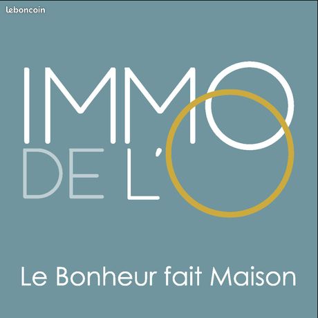 https://img.leboncoin.fr/api/v1/lbcpb1/images/34/68/7a/34687a1f4d733cca48c0fd044dca83b6f386c60f.jpg?rule=ad-image