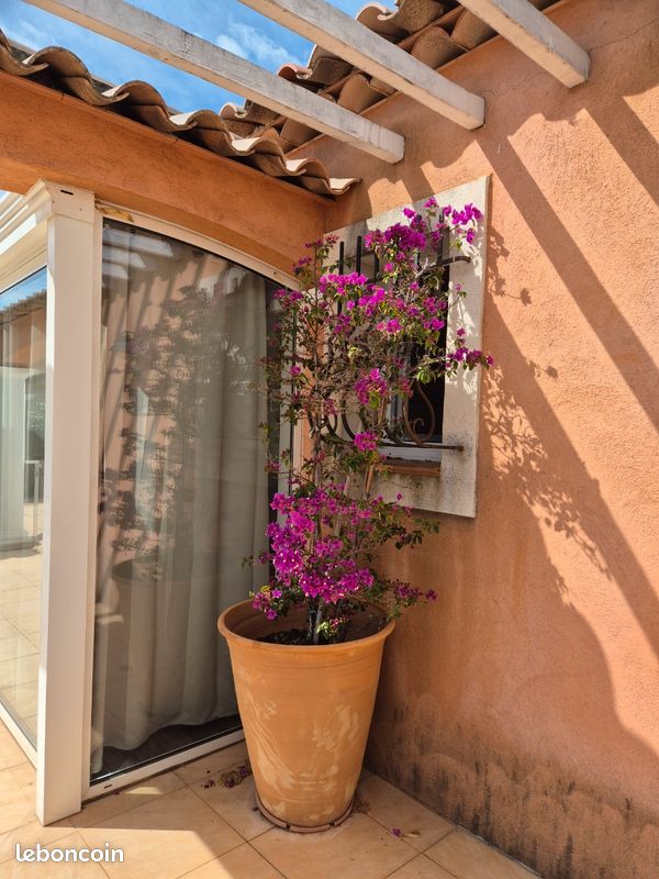 Villa luxueuse avec piscine privée 4chambres (image 15)
