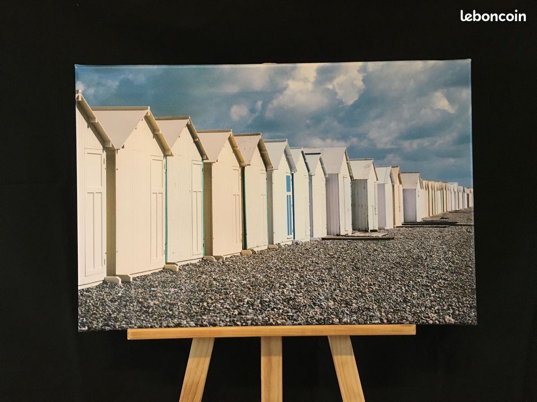 Photos imprimées sur toile cadre bois (image 4)