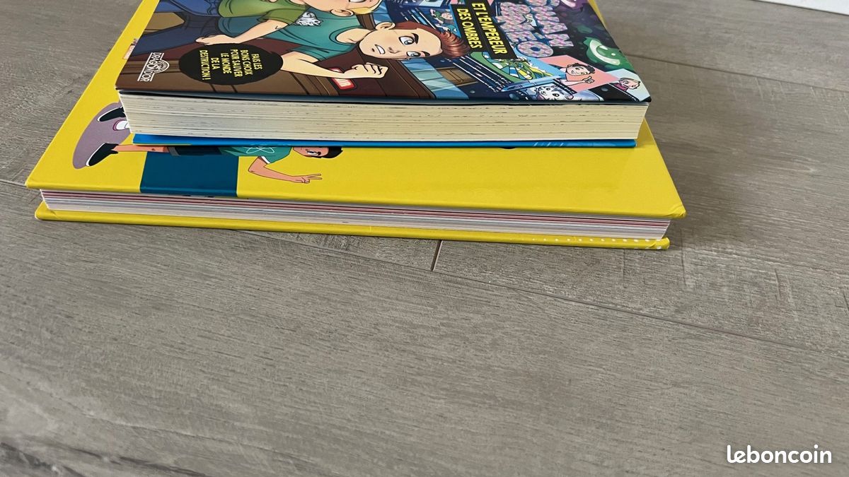 2 livres Swan et Néo (image 5)