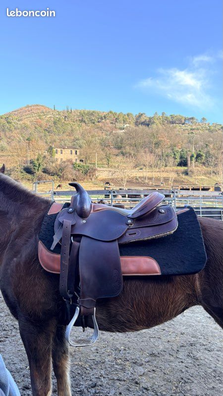 COUCHO Ensemble de Selle de Cheval Western, 15 Pouces COUCHO Ensemble de Selle de Cheval Western, 15 Pouces