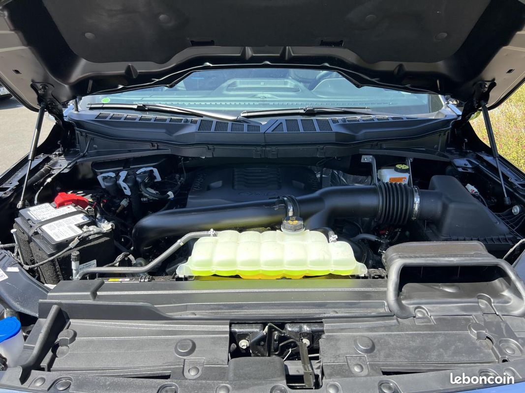 FORD F150 Supercrew PLATINUM 4x4 (image 29)