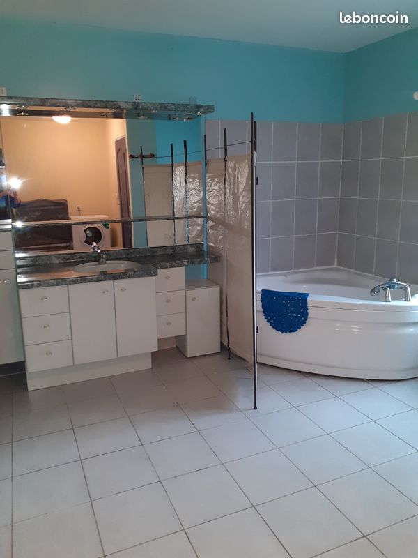 GITE maison proche Chalons en Champagne /Capitole/ lPO/ marne /REIMS / DER/ VATRY/St DIZIER /Vitry le francois /NIGLOLAND / Foire/ vendange/voie francigena/ (image 7)