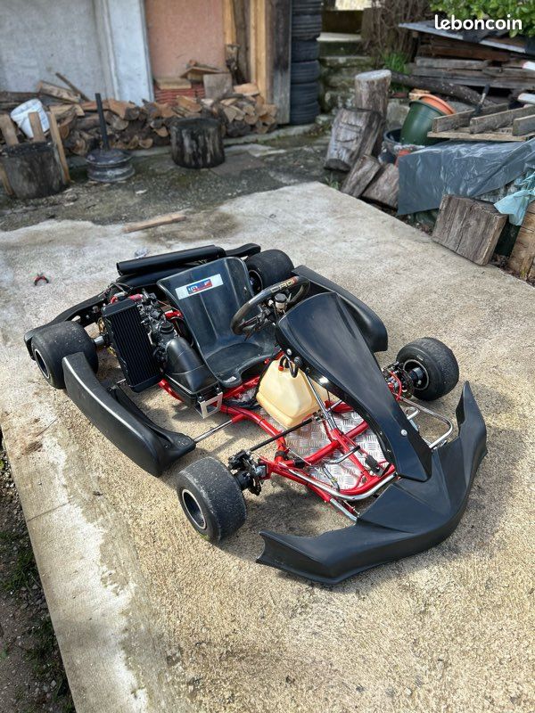Karting rotax Max 125 (image 4)
