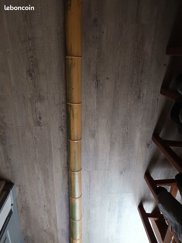 Bambou décoratif (image 1)