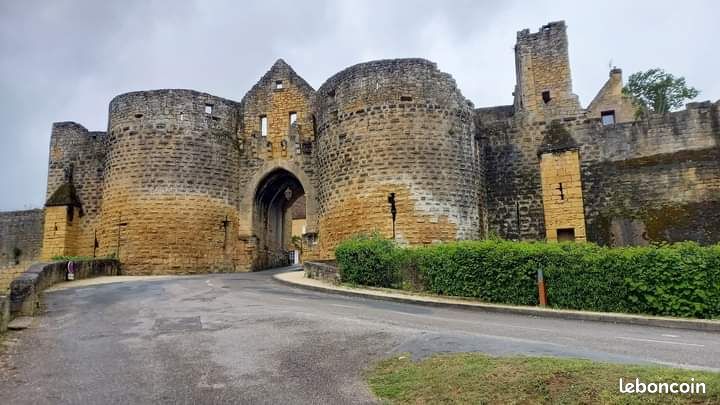 Joli gîte climatisé classé 3 étoiles au cœur du Périgord noir proche de la bastide de Domme (image 9)