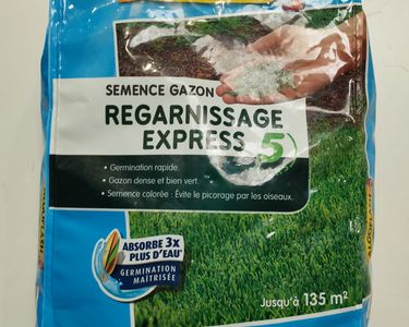 ALGOFLASH Semence Gazon Anglais 3 Kg - Jusqu'à 135 M² - Mélange Qualité Professionnelle Pour Pelouse Dense