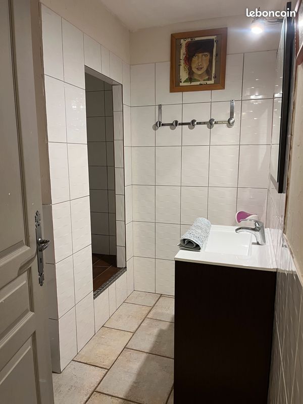 Maison avec piscine privative "Les Lézards" (jusqu'à 10 pers) (image 12)