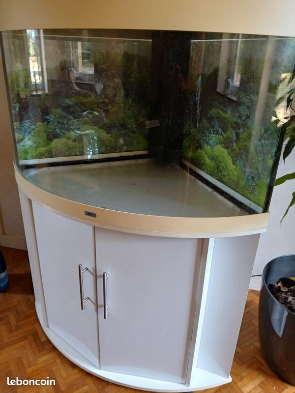 Aquarium (image 3)