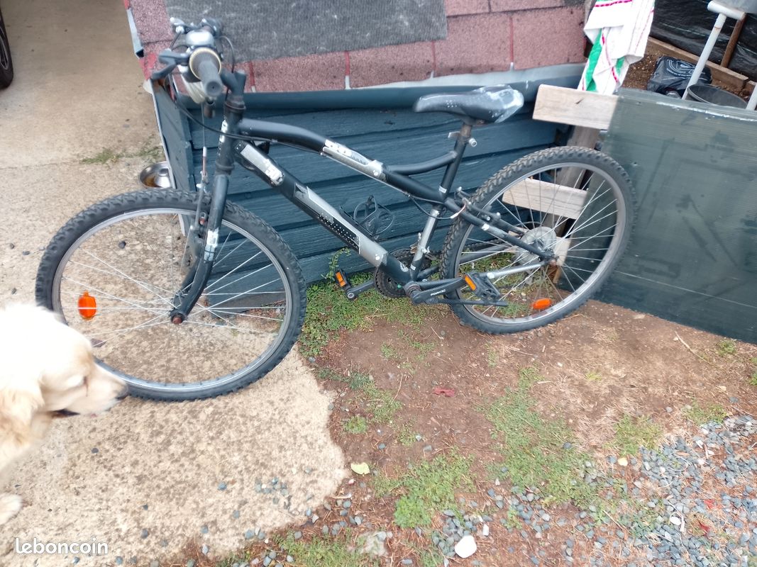 Vélo VTT (image 1)