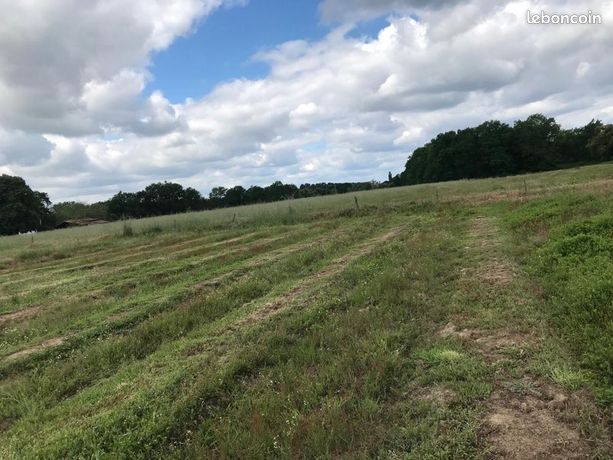 Terres agricoles
