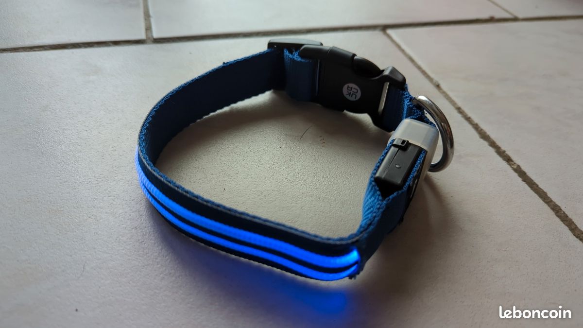 Collier pour chien lumineux (image 2)