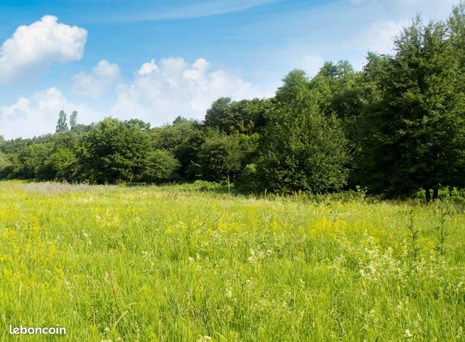 Terrain 600 m² · à Mainxe-Gondeville · 21 000 €