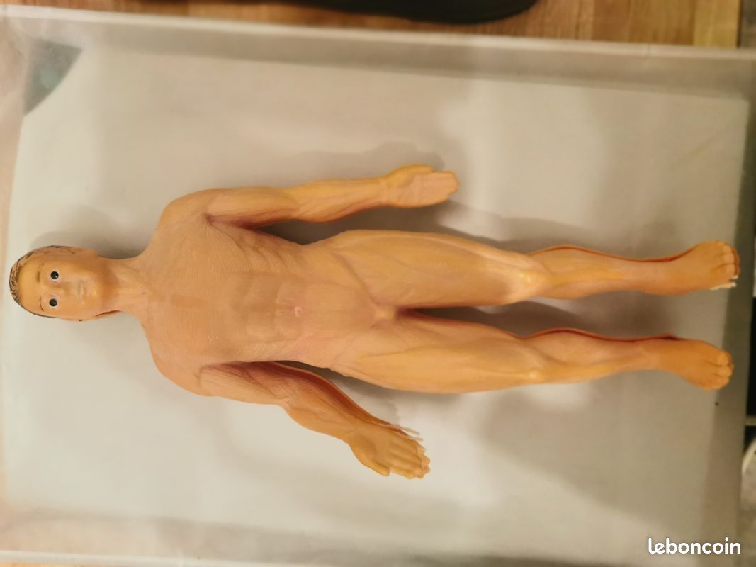 Il etait une fois la vie corps humain en 3D (image 1)