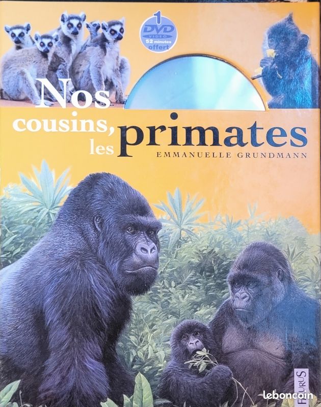 Nos cousins, les primates (image 1)