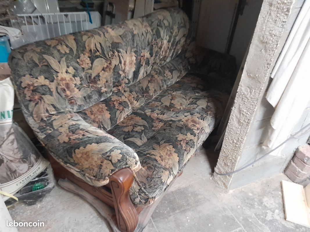 Vend canapé juste un petit trop 50 euro (image 1)