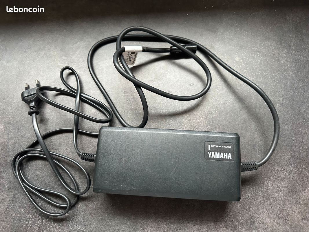Chargeur Pour Vélo électrique Velair Speed M82 (occasion Bon état)