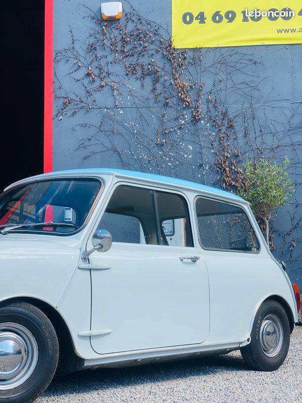 Rare innocenti mini minor garantie (image 2)