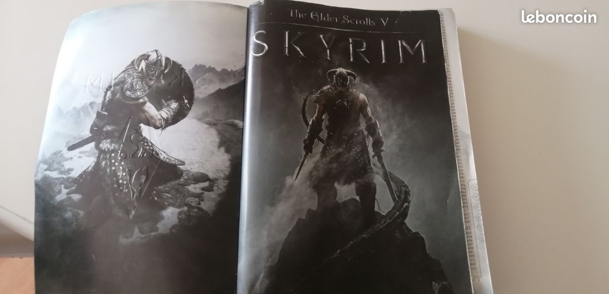 Skyrim guide officiel + map (image 2)