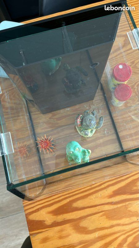 Aquarium 50L (image 2)