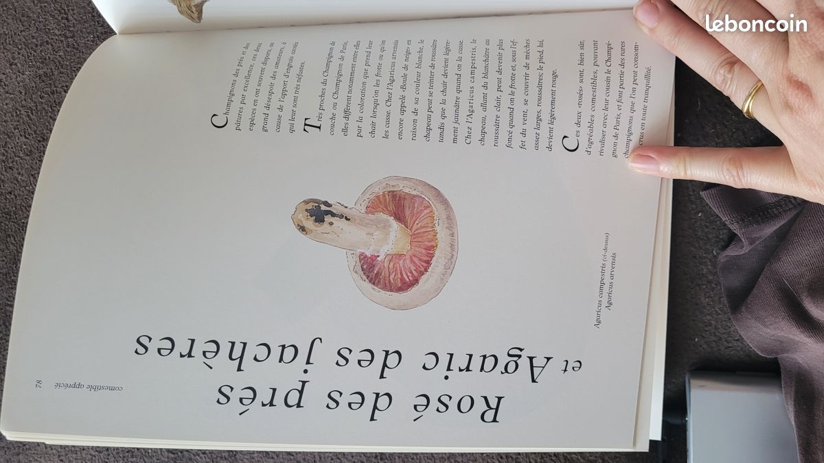 Livre sur les champignons de Béatrice Potter (image 7)