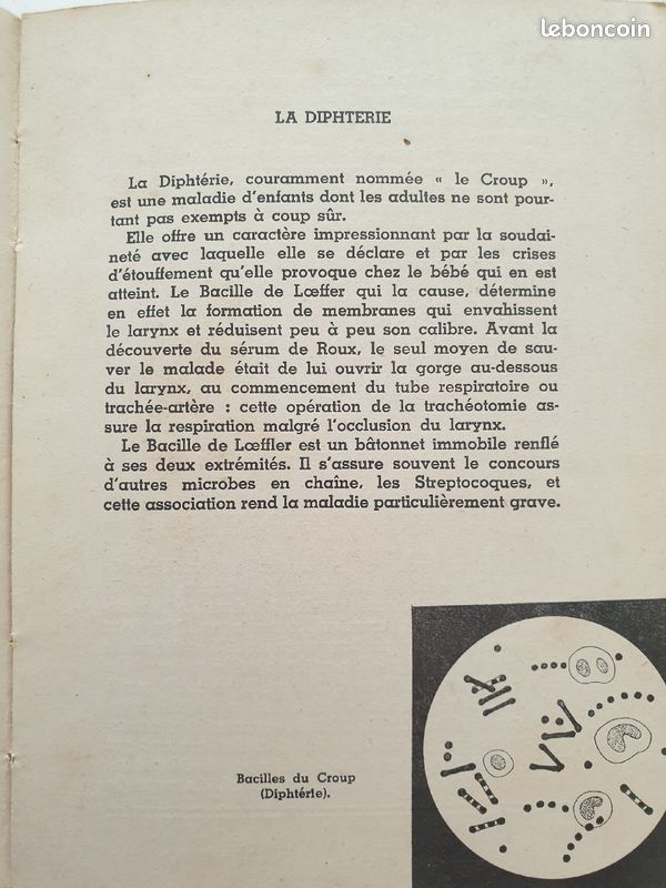 Livre ancien sur microbiologie. Le monde des microbes (image 4)