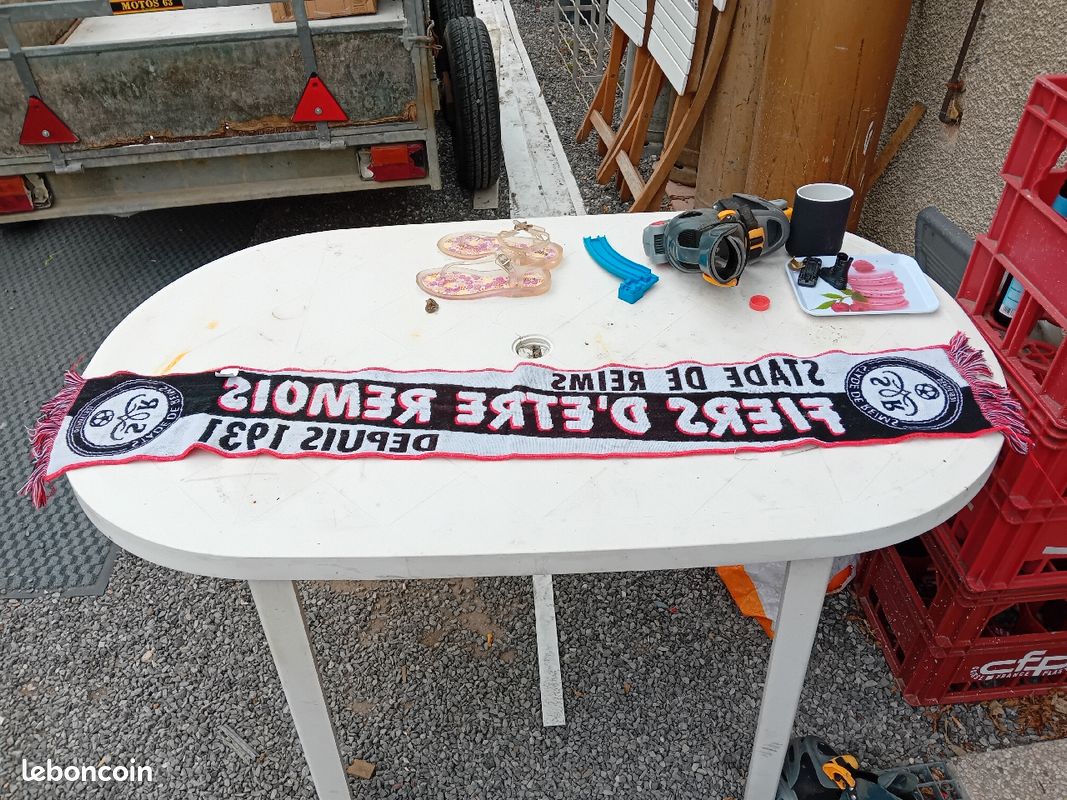 Stade de Reims logo and symbol, meaning, history, PNG