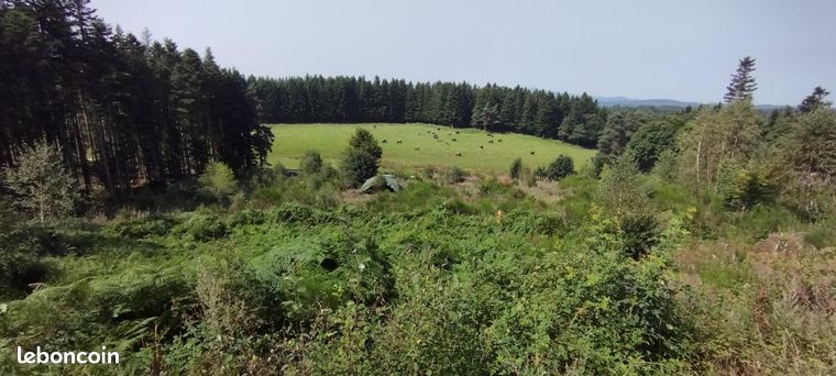Terrain 11833 m² LE CHAMBON-SUR-LIGNON