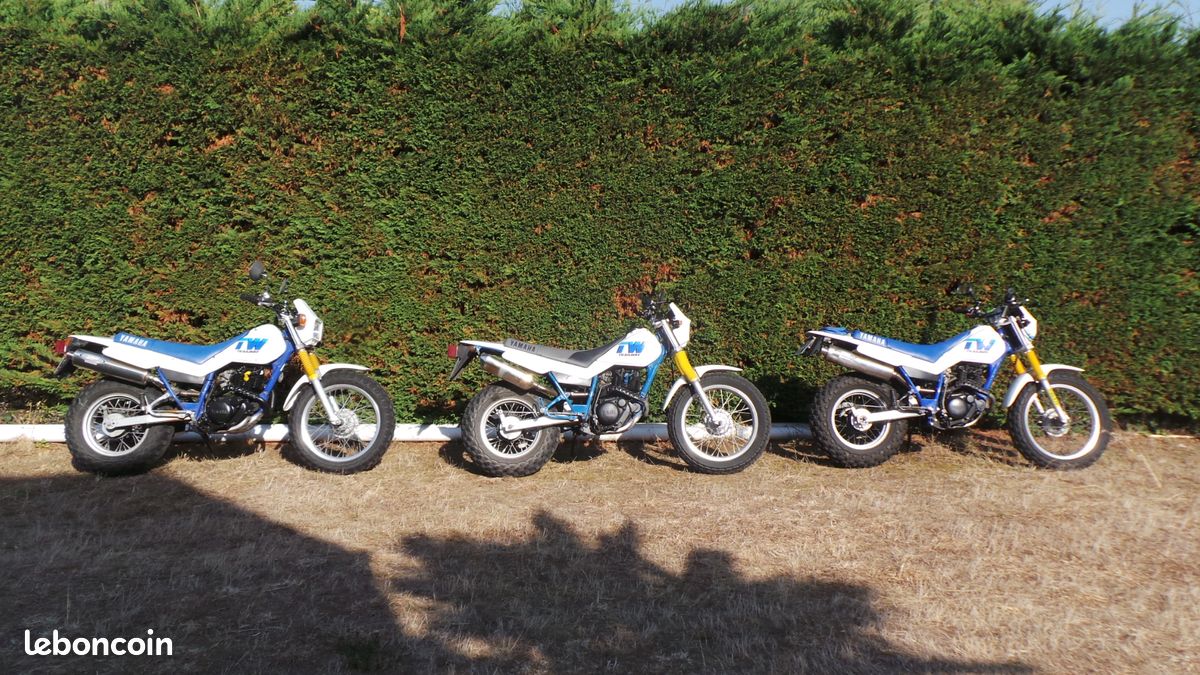 Yamaha TW (image 1)