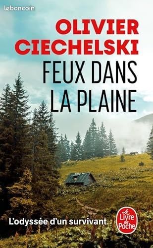 Feux dans la plaine (image 1)